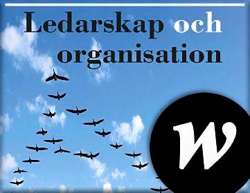 Ledarskap och organisation, lärarwebb Individlicens 12 mån