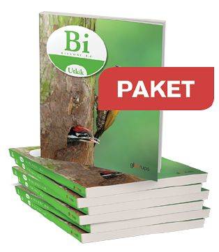 Utkik 4-6 Biologi Grundbok Paketerbj 10 ex