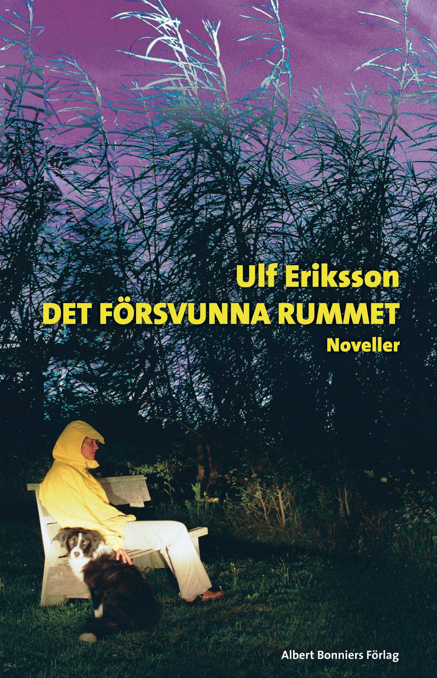 Det försvunna rummet