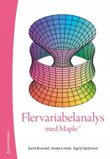 Flervariabelanalys med Maple