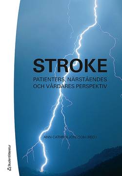 Stroke : patienters, närståendes och vårdares perspektiv