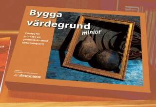 Bygga värdegrund minior