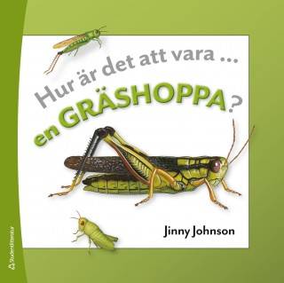 Hur är det att vara en myra + gräshoppa PAKET