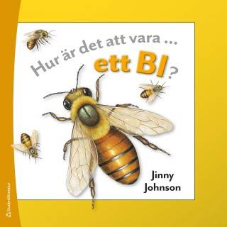 Hur är det att vara ett bi + fjäril PAKET