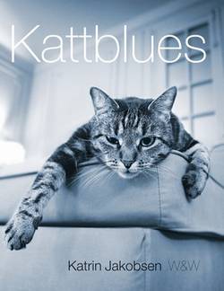 Kattblues