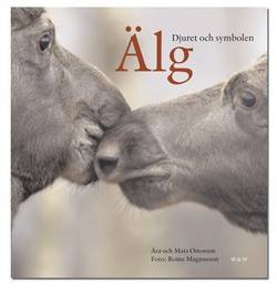 Älg : i skog, myt och gryta