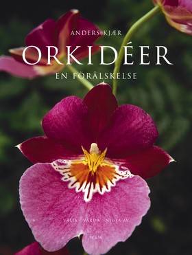 Orkidéer : en förälskelse