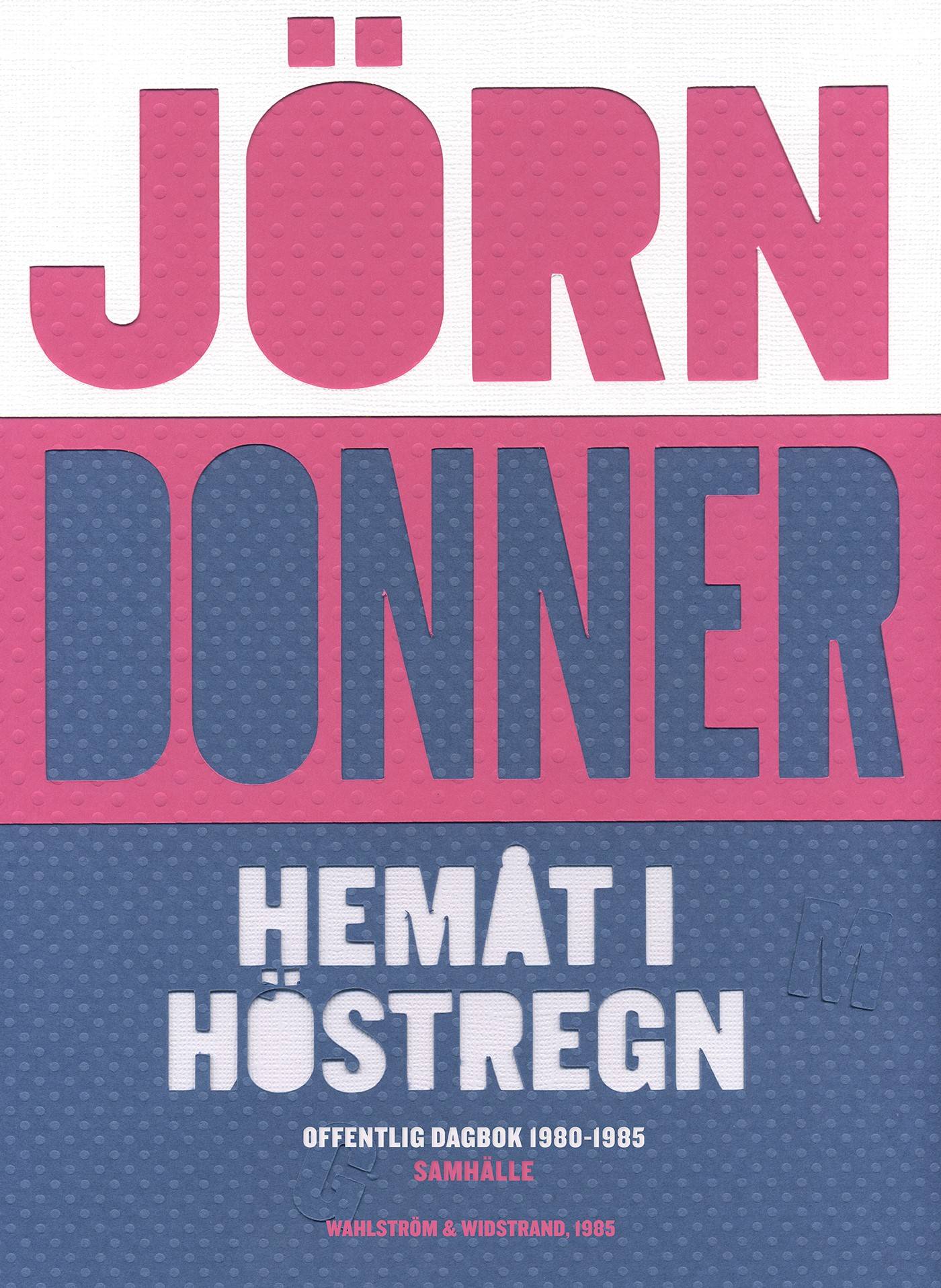 Hemåt i höstregn : Offentlig dagbok 1980-1985