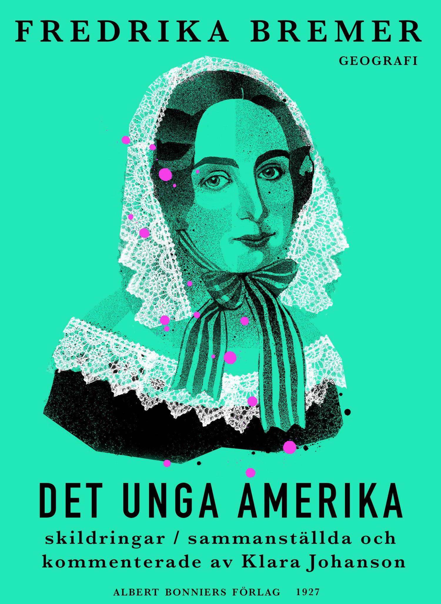 Det unga Amerika : skildringar