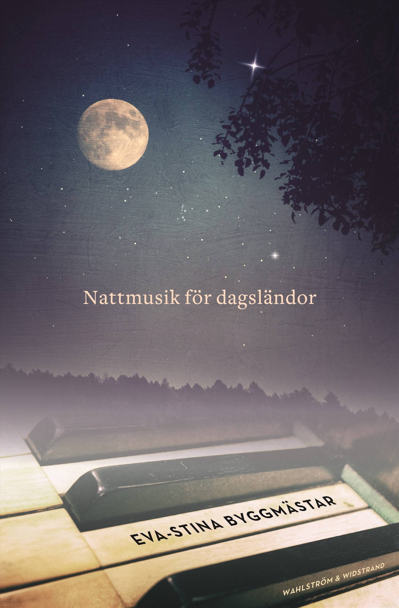 Nattmusik för dagsländor