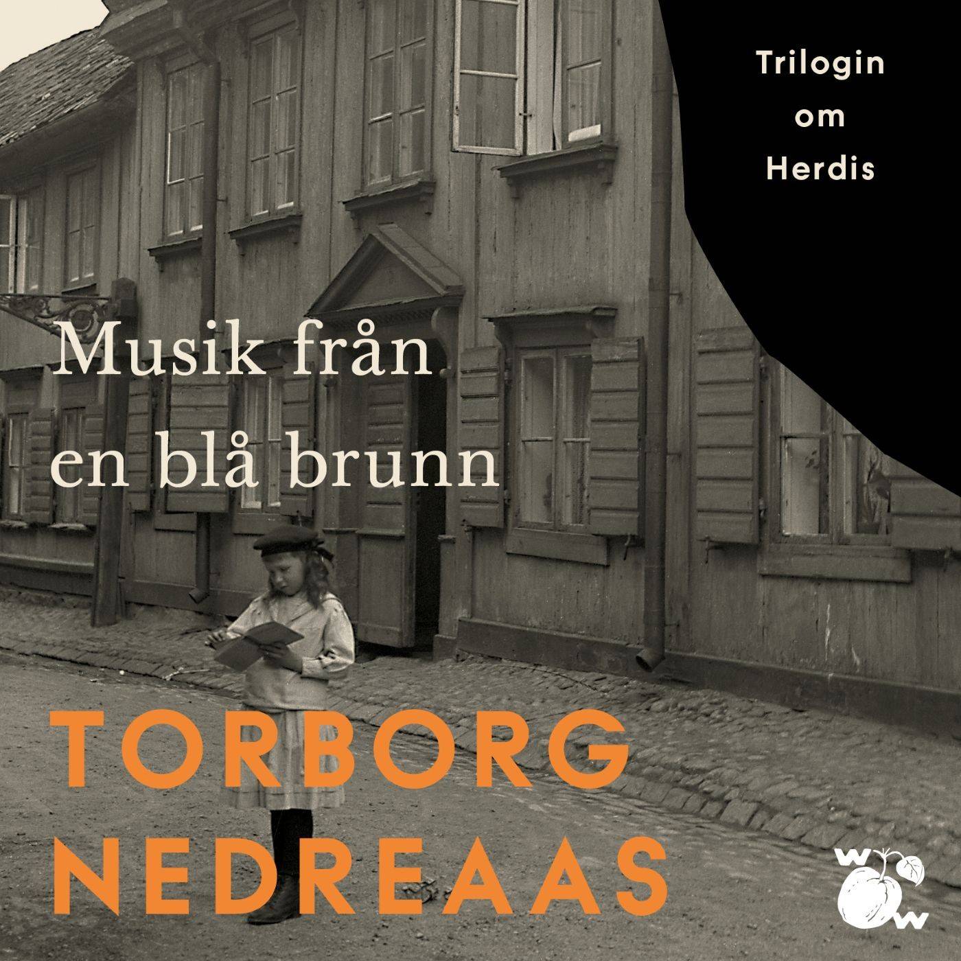 Musik från en blå brunn