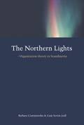 The Northern Lights - Organization theory in Scandinavia