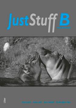 Just Stuff B Workbook