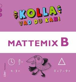 Kolla vad du kan Mattemix B