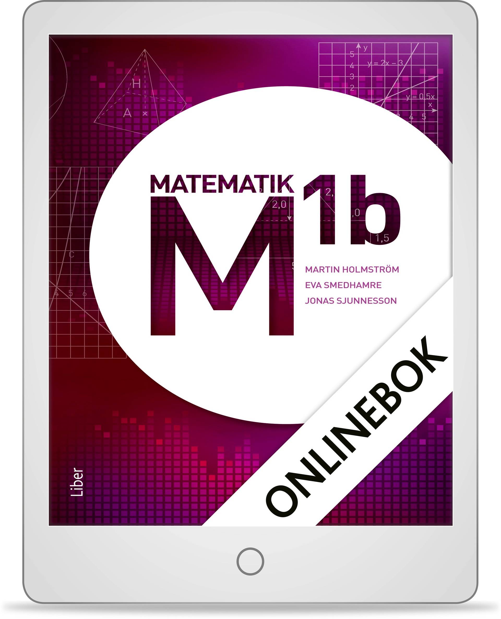M 1b Onlinebok (12 mån)