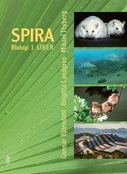 Spira 1