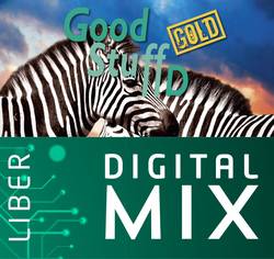 Good Stuff Gold D Digital Mix Lärare 12 mån