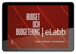 Budget och budgetering eLabb, abonnemang 12 mån