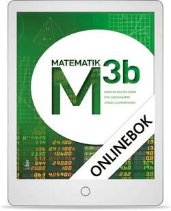M 3b Onlinebok (12 mån)