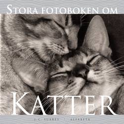 Stora fotoboken om katter