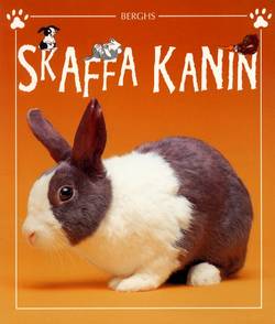 Skaffa kanin