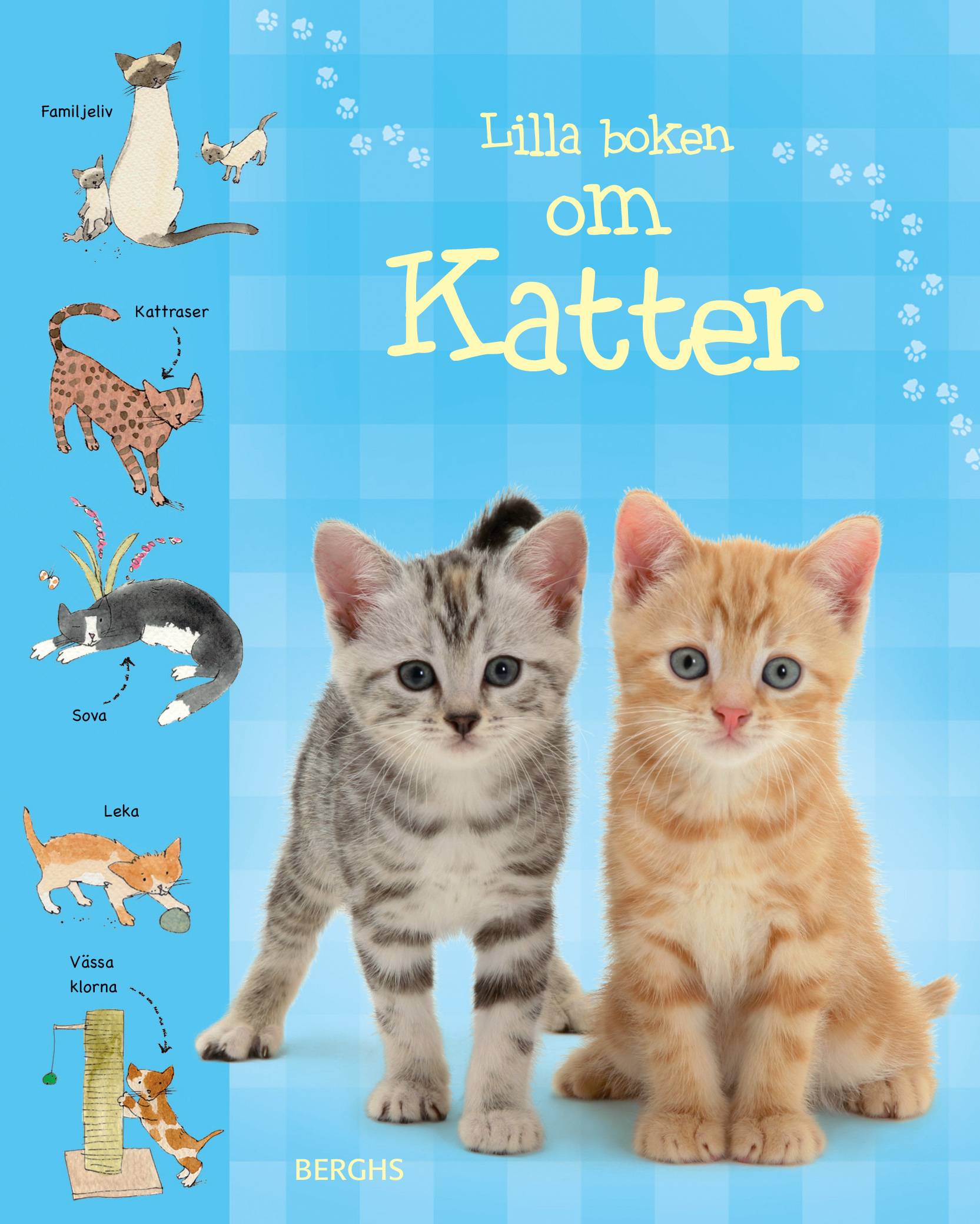 Lilla boken om katter