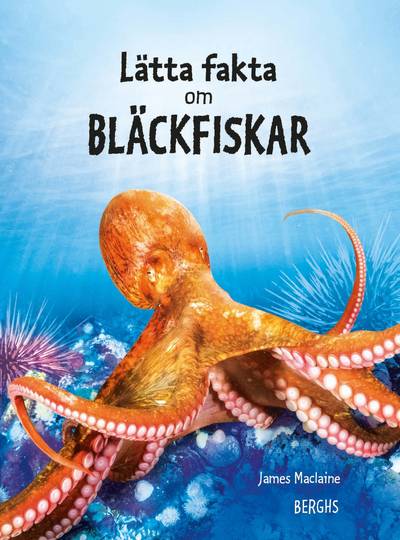 Lätta fakta om bläckfiskar
