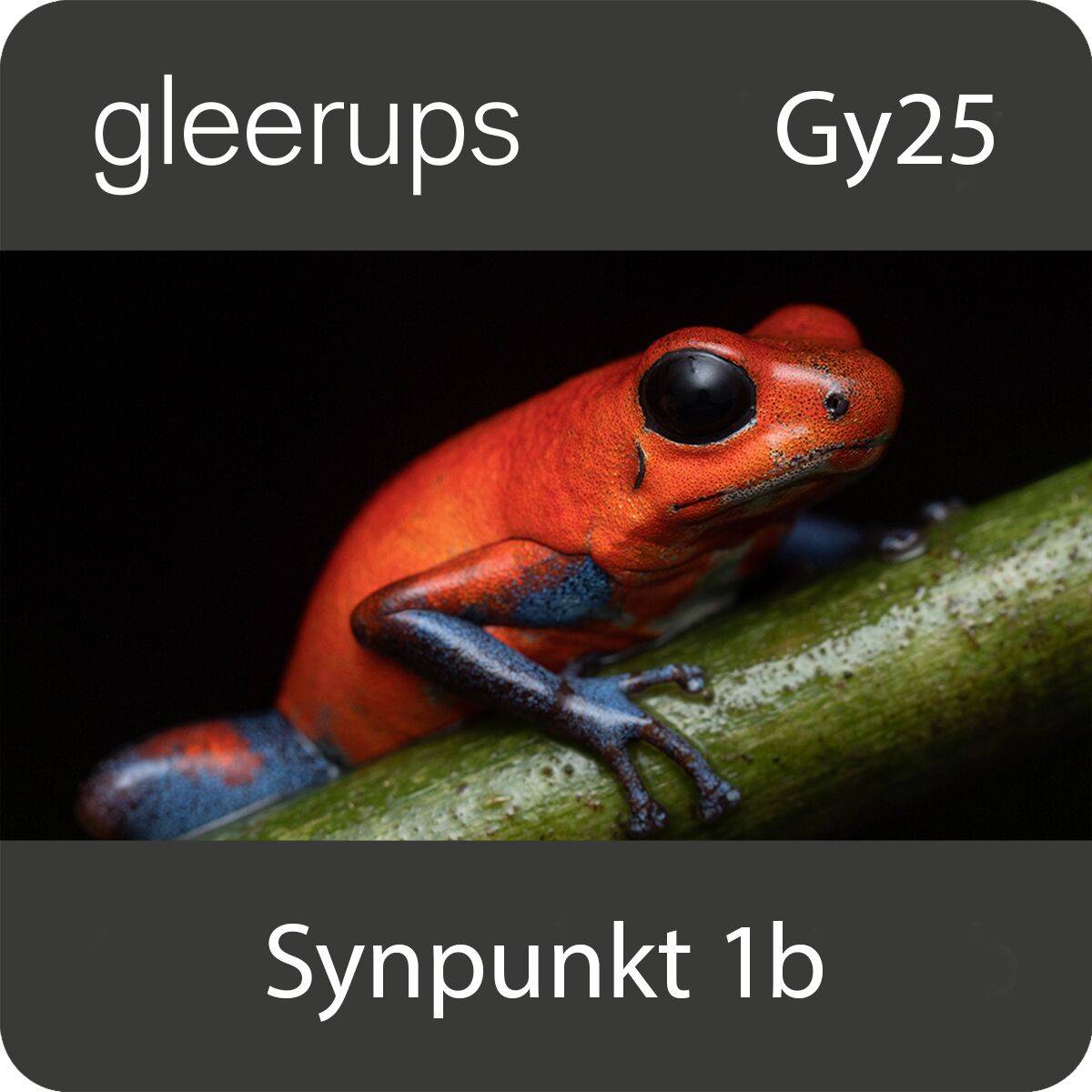 Synpunkt Naturkunskap 1b, digitalt, lärare, 12 mån, Gy25