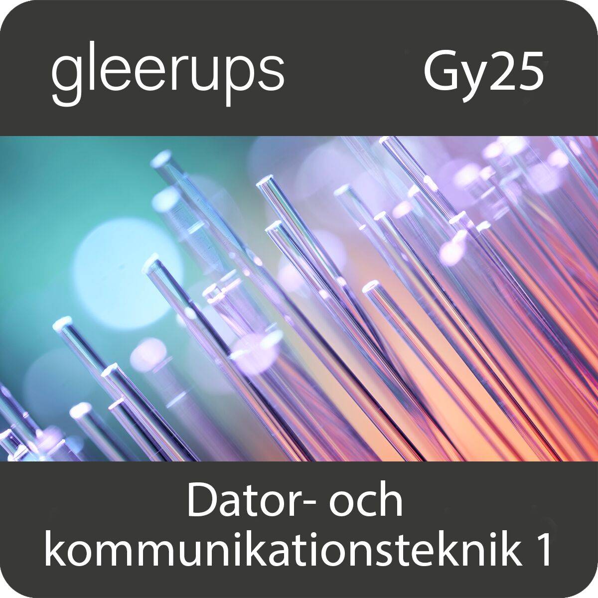 Dator- och kommunikationsteknik 1, dig, elev, 12 mån, Gy2