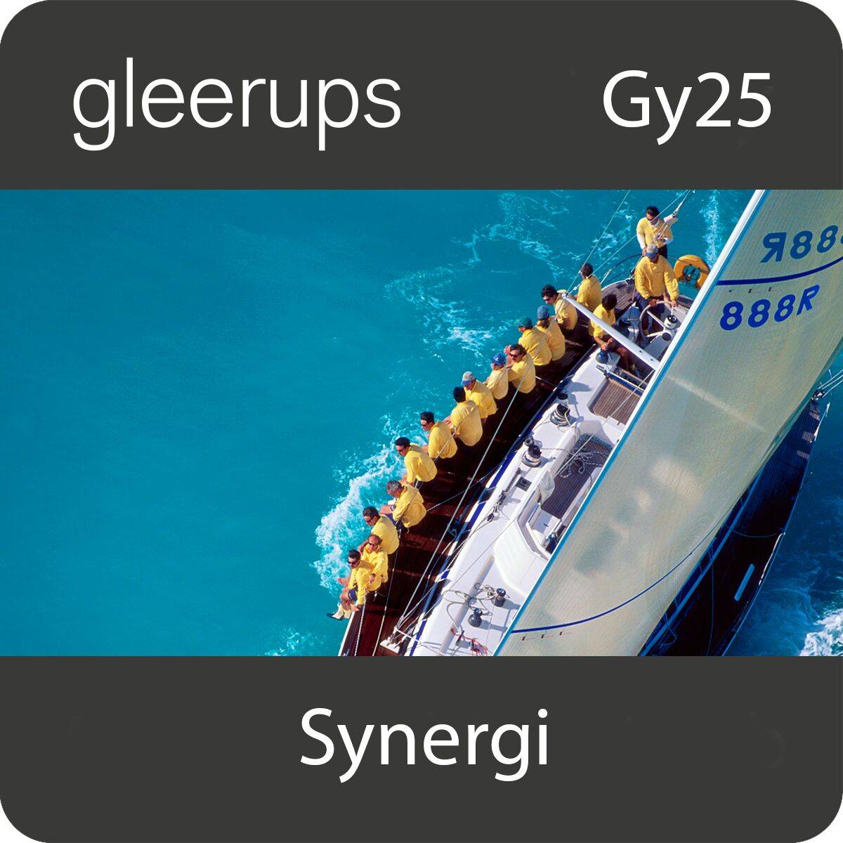 Synergi Ledarskap och organisation, dig, elev, 12 mån, Gy25