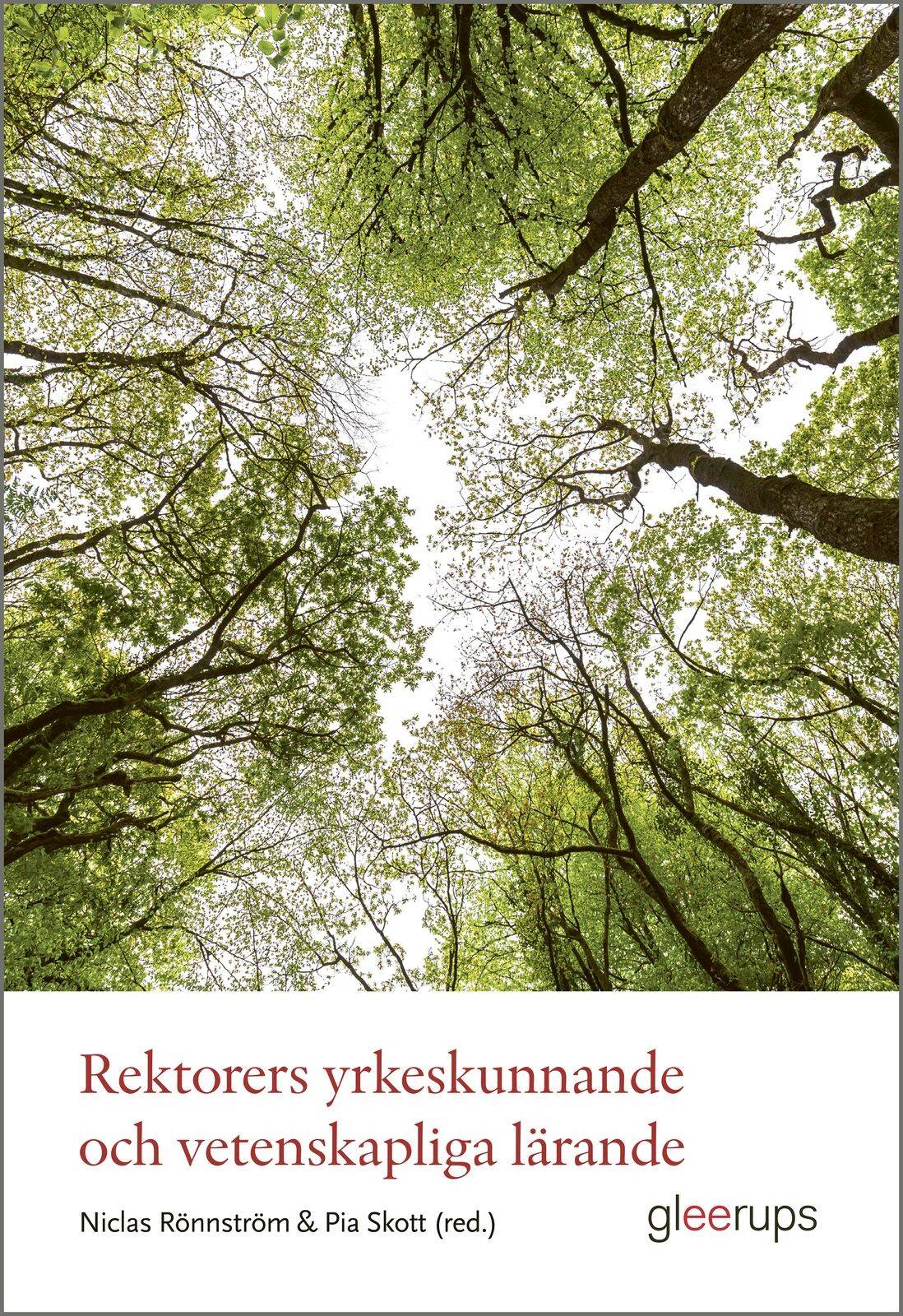 Rektorers yrkeskunnande och vetenskapliga lärande