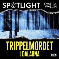 Trippelmordet i Dalarna