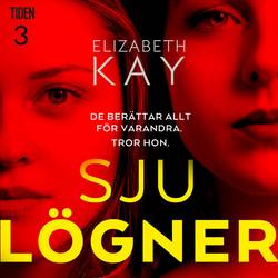 Sju lögner - tredje lögnen