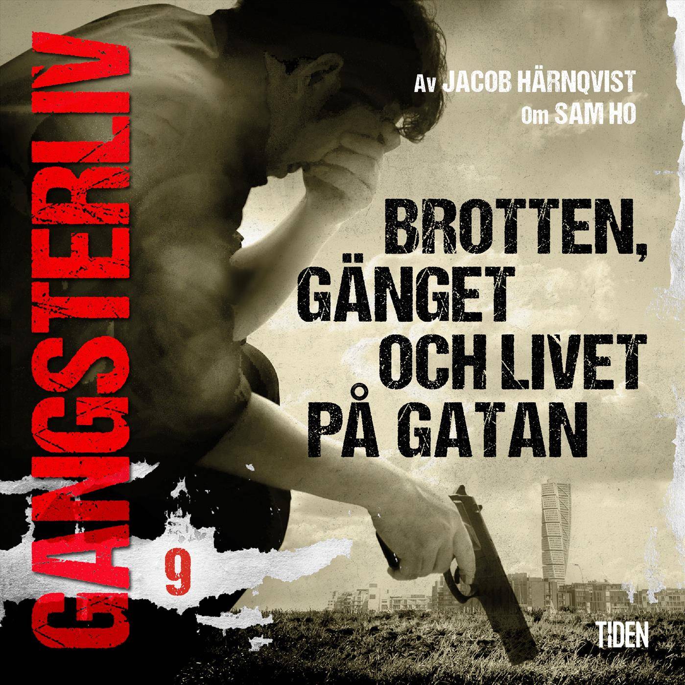 Gangsterliv 9: Brotten, gänget och livet på gatan