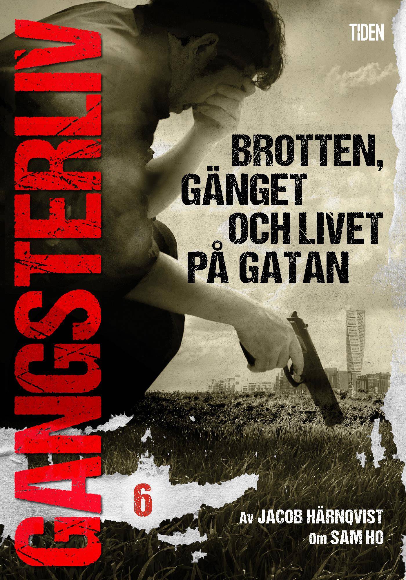 Gangsterliv 6: Brotten, gänget och livet på gatan