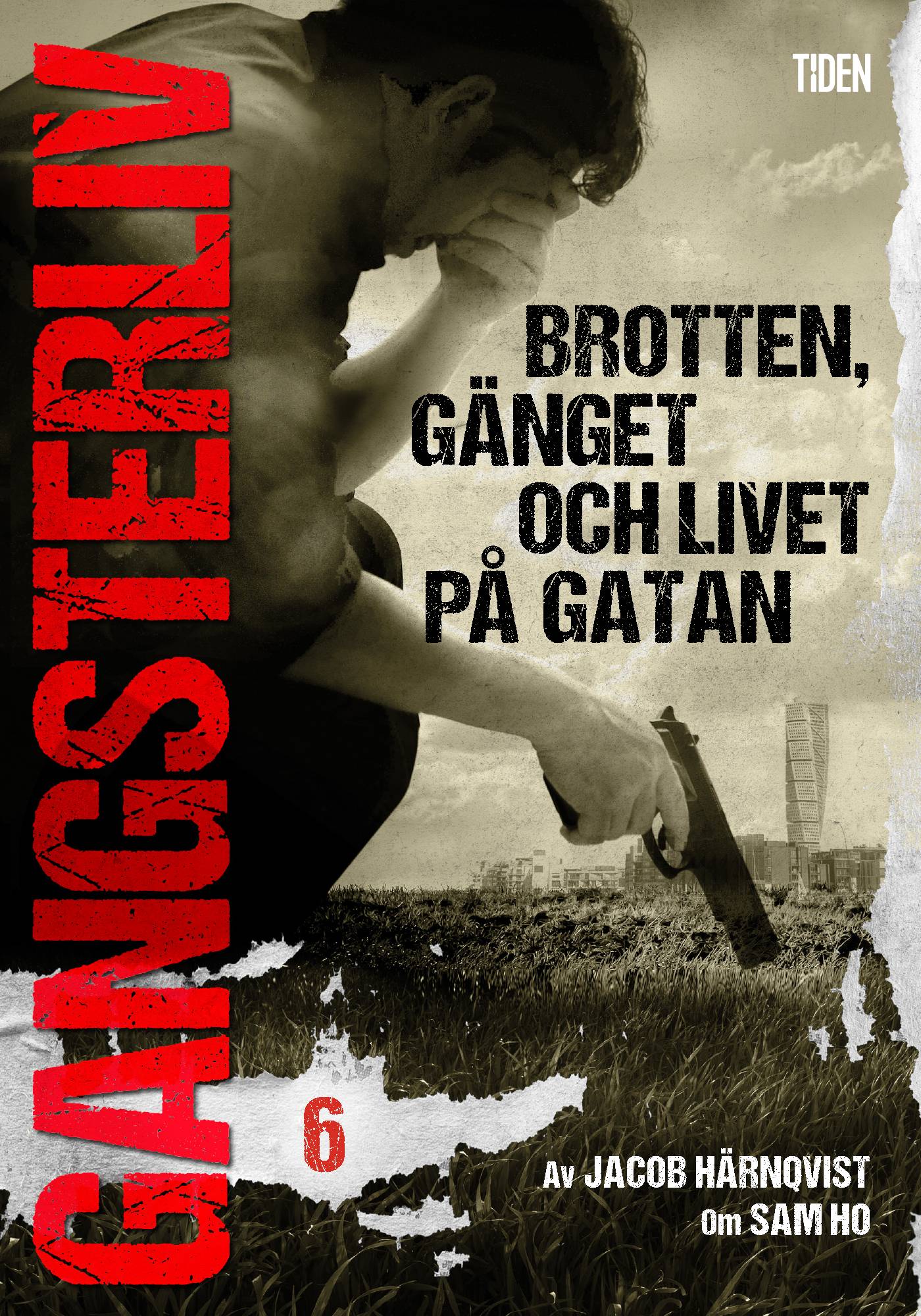 Gangsterliv 6: Brotten, gänget och livet på gatan