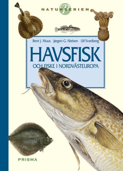 Havsfisk och fiske i Nordvästeuropa