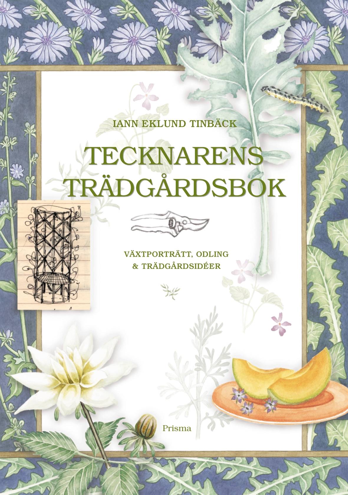 Tecknarens trädgårdsbok : Växtporträtt, odling & trädgårdsidéer