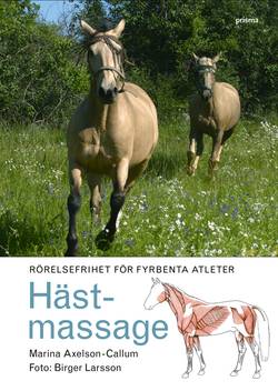 Hästmassage : Rörelsefrihet för fyrbenta atleter