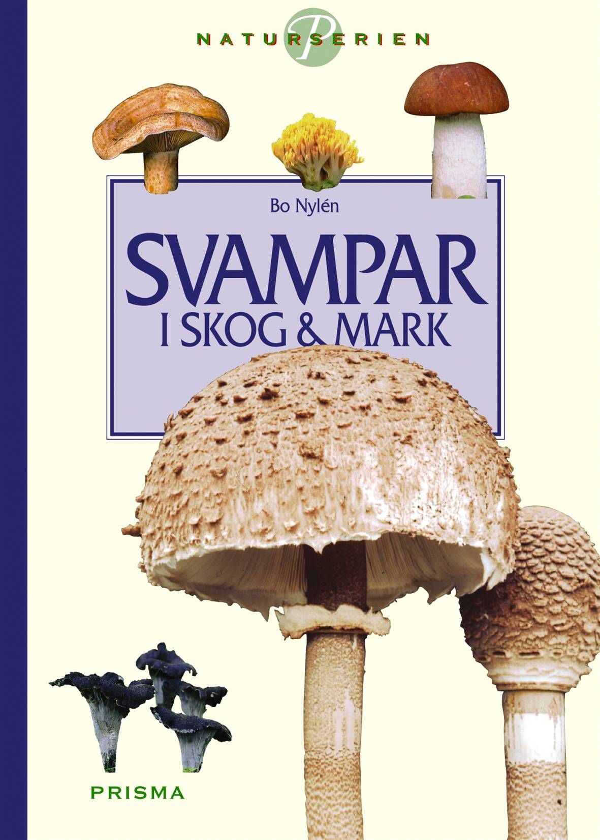 Svampar i skog och mark