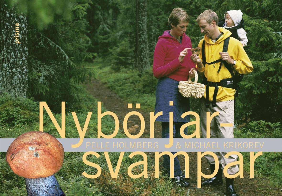 Nybörjarsvampar