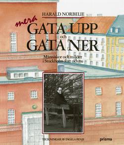 Mera gata upp och gata ner : människor och miljöer i Stockholm förr och nu