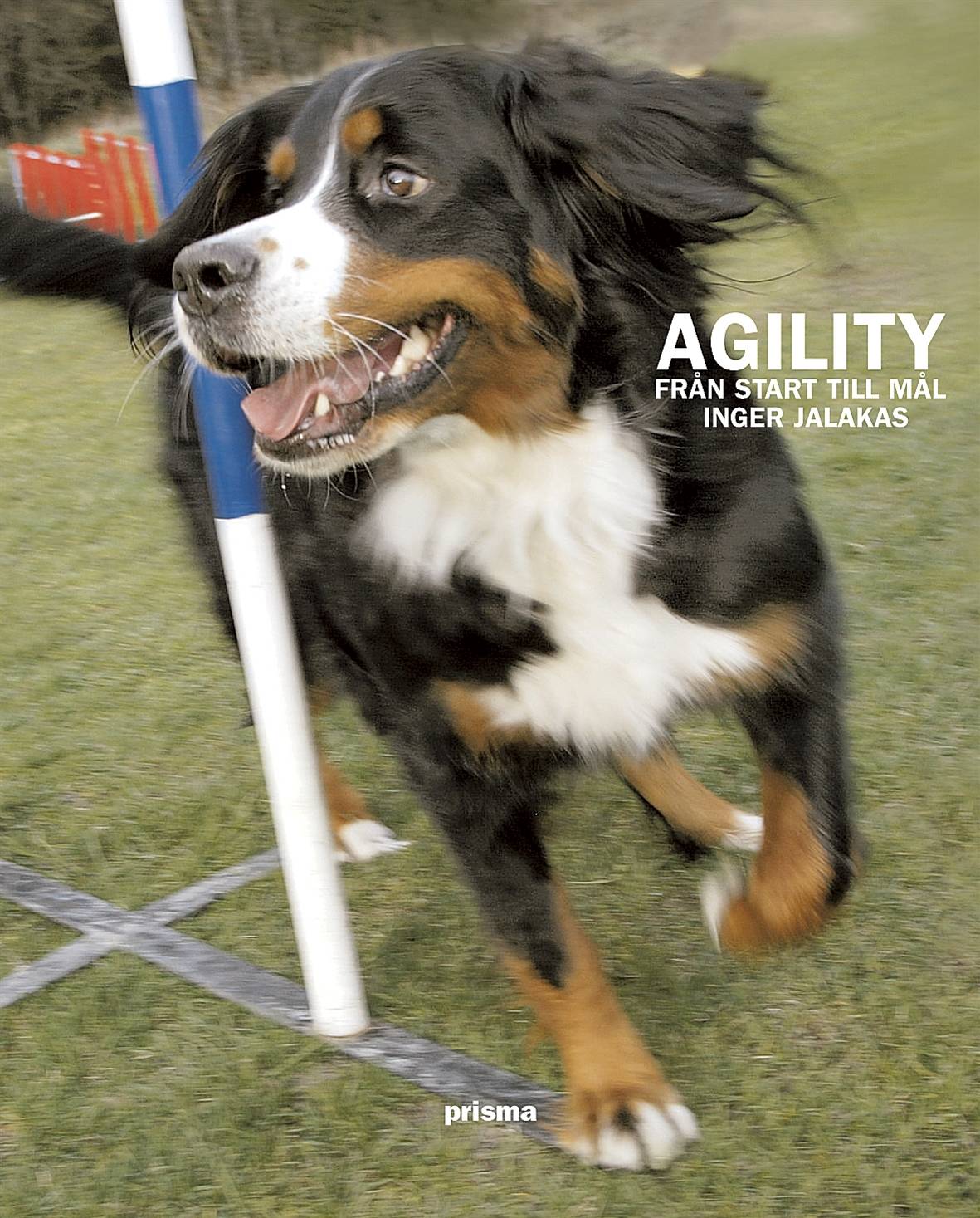 Agility : från start till mål