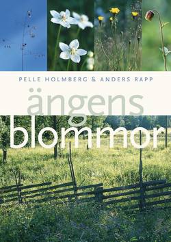 Ängens blommor