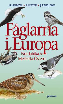 Fåglarna i Europa : Nordafrika och Mellersta Östern