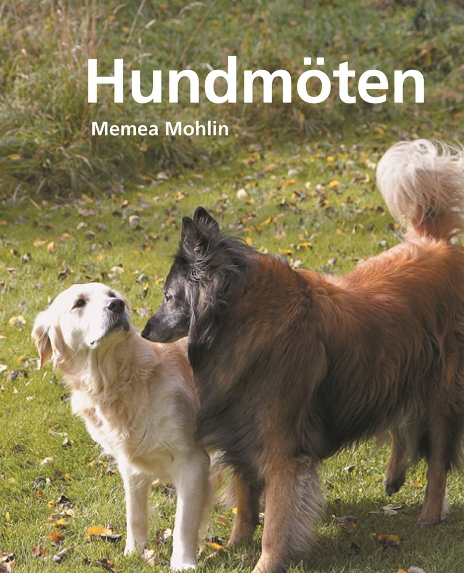 Hundmöten