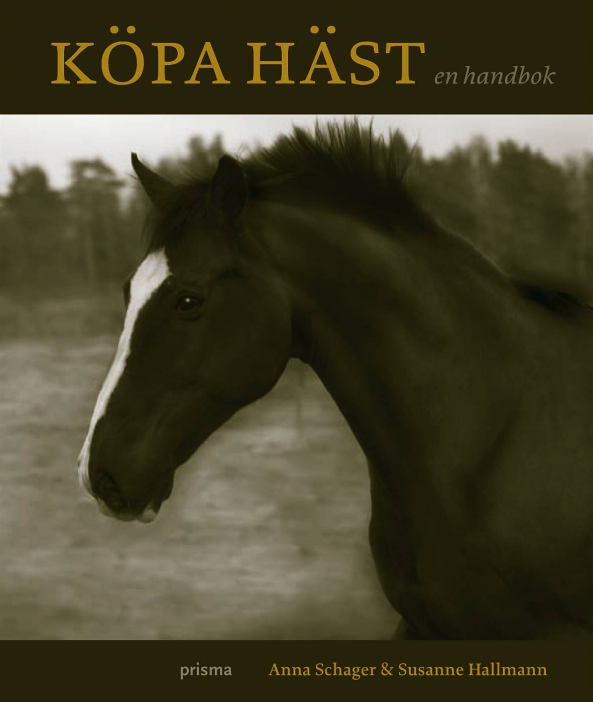 Köpa häst : en handbok