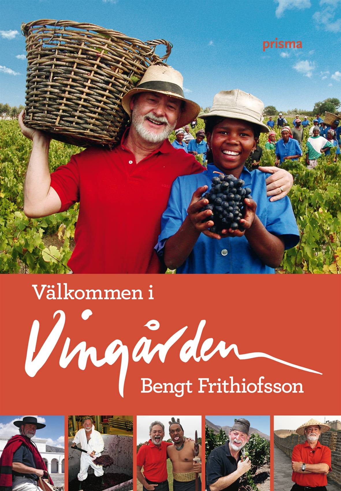 Välkommen i vingården