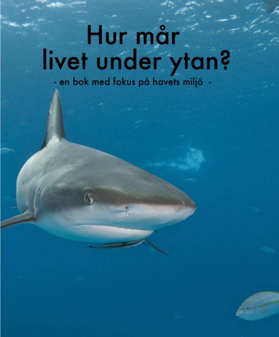 Hur mår livet under ytan? : en bok med fokus på havets miljö