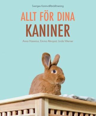 Allt för dina kaniner